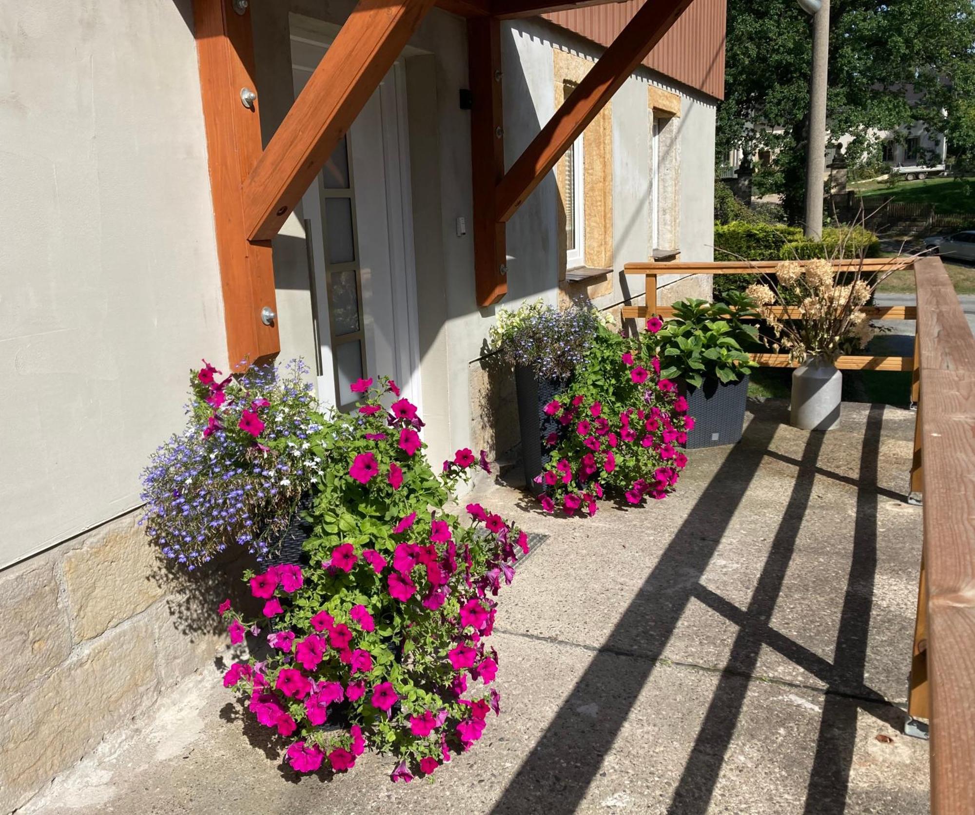 Ferienwohnung "Am Kirchsteig" Курорт-Гориш Экстерьер фото